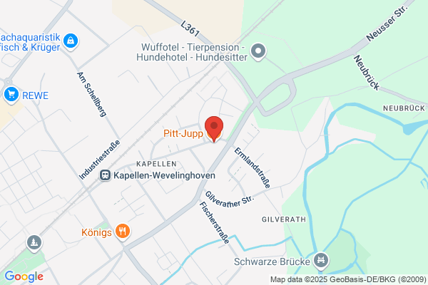 Pitt Jupp