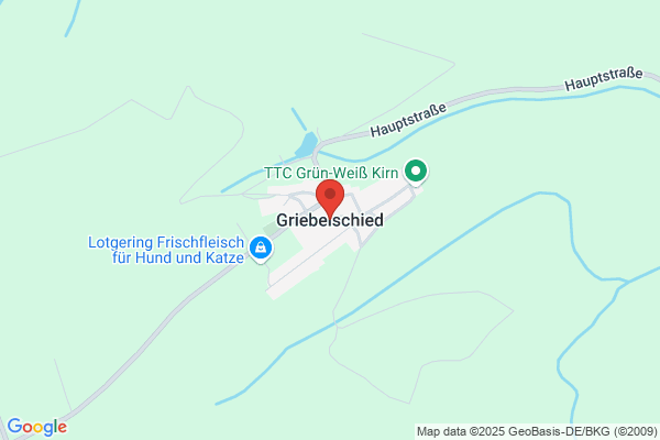 Pfahl-Krille