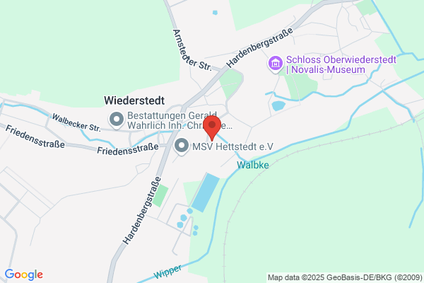 Ingo Daniel