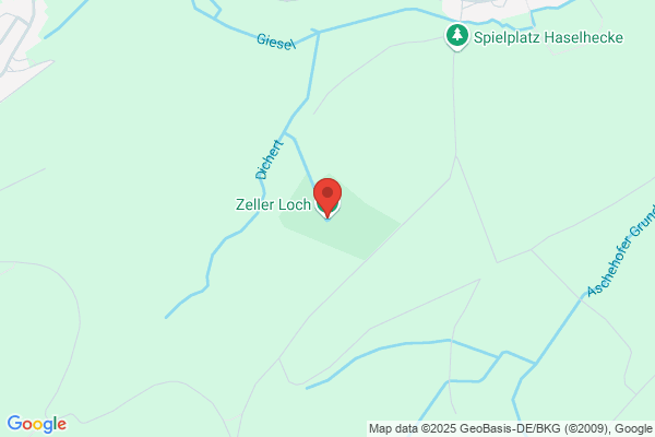 Zöller