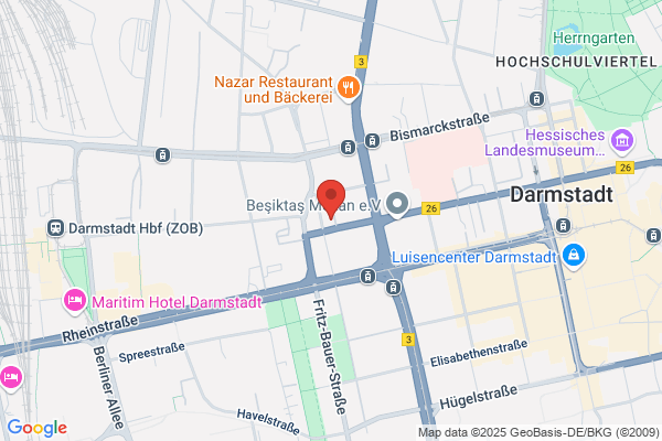 Fachanwalt Arbeitsrecht Darmstadt Kanzlei Manz