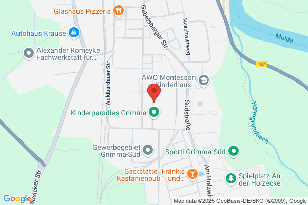 Automobil Meisterwerkstatt