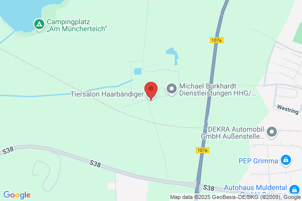 Tiersalon "Haarbändiger"