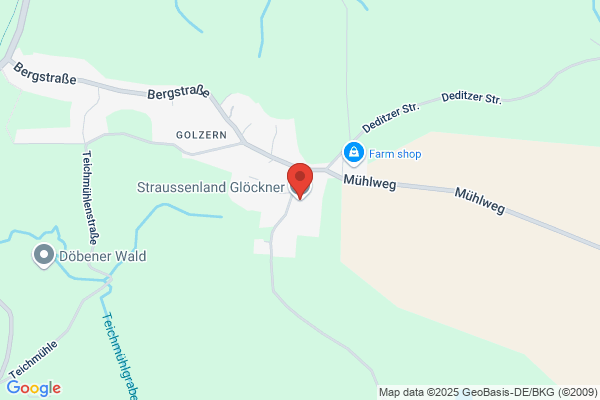 Straussenland-Gloeckner