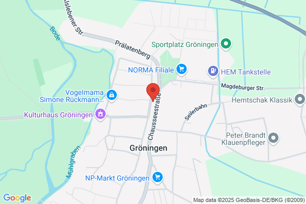 Mobiler-Service-Dienst
