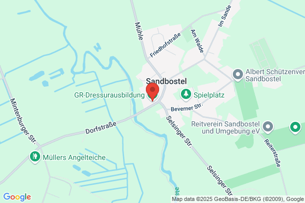 Dressurausbildung & Zucht