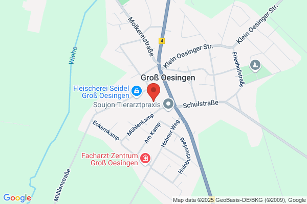 Freiwillige Feuerwehr Groß Düben