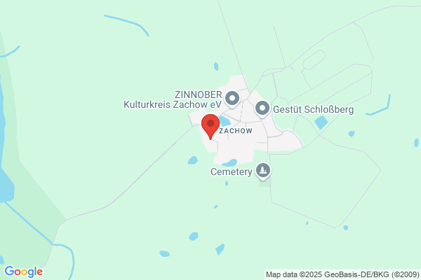 Storch