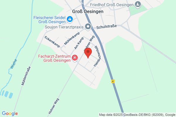 Town und Country Haus Gifhorn - Regionalbüro Torsten Rieper