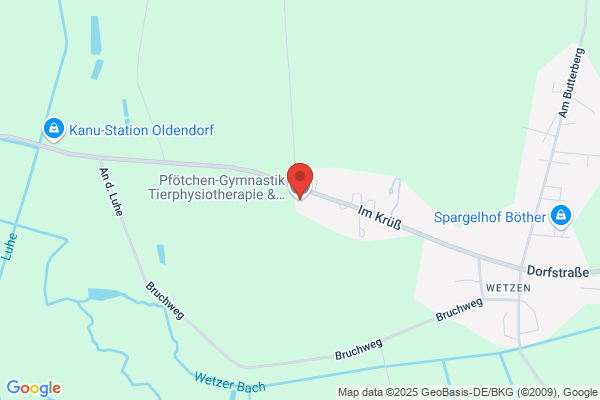 Dogs4Motion Hundephysiotherapie & Hundeosteopathie mit Unterwasserlaufband