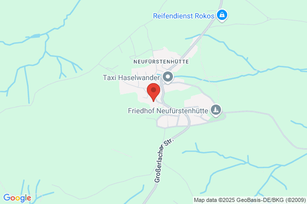 Snieges G. Reinigungsservice