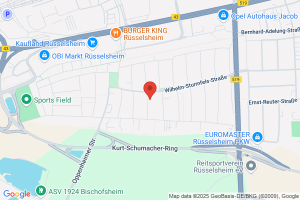 PS Kampfmittelbeseitigung