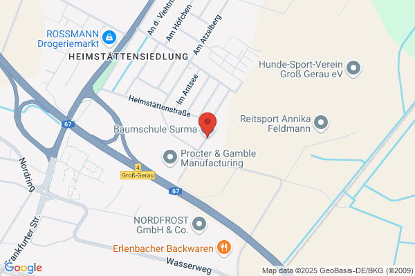 Baumschule Surma GmbH & Co. KG
