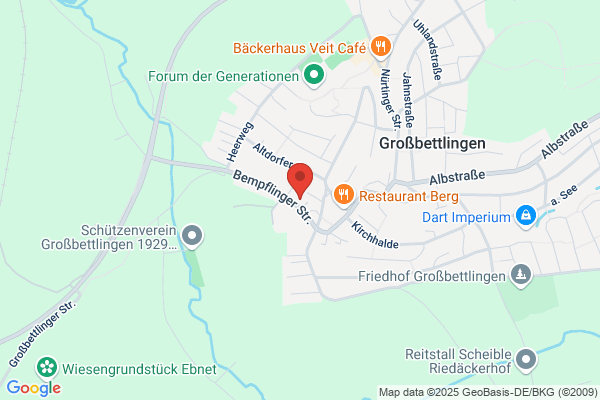 Dieter Henzler