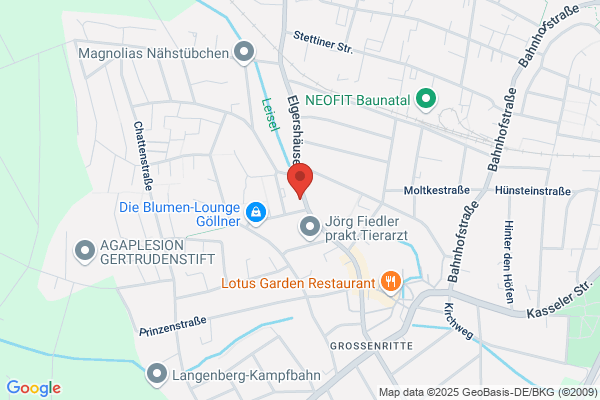 Ralf Gerlach