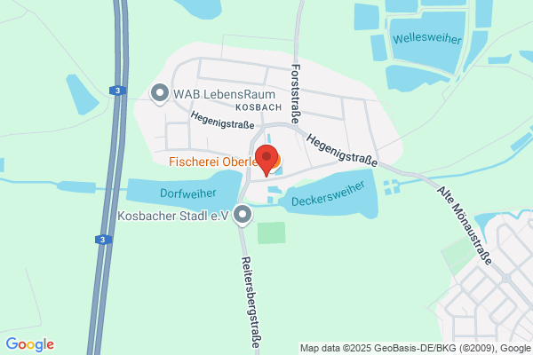 Beer GmbH, Rainer