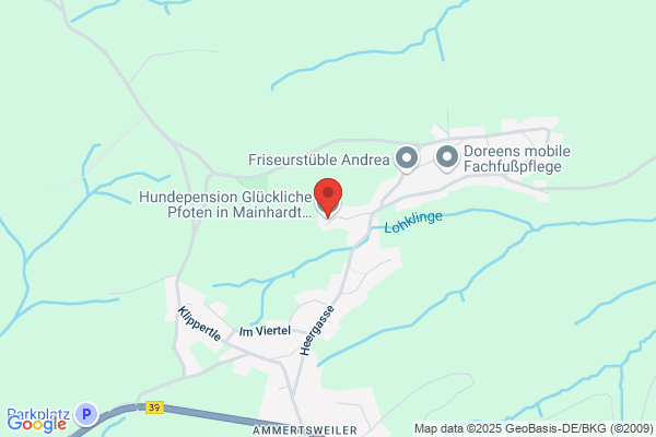 Hundepension-Polarlichter