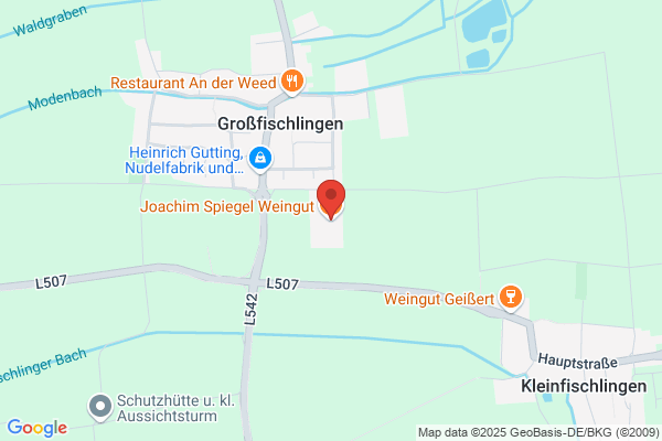 Ludwig Gies