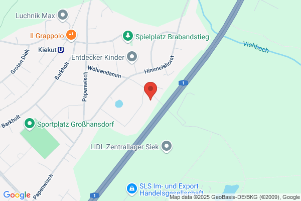 Alternative Partei