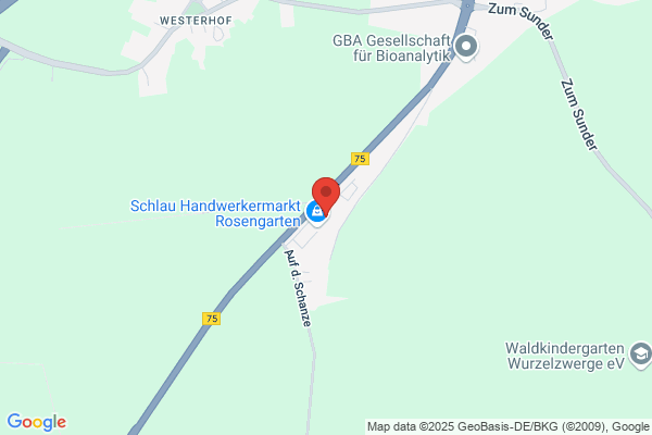 AVS GmbH