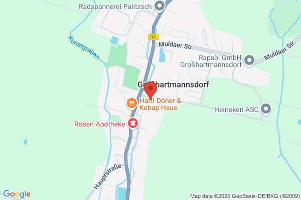 Mayoratsgut