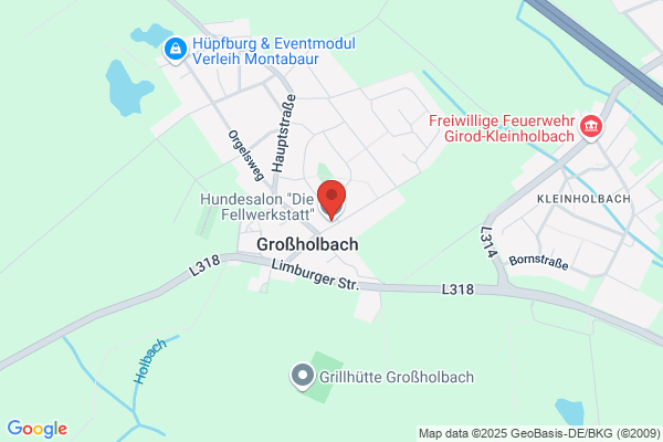 Hundesalon "Die Fellwerkstatt"