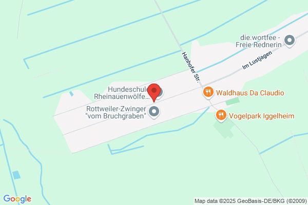 Stuhlfauth