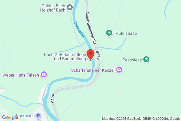 Baumpflege & Baumfällung Bach GbR