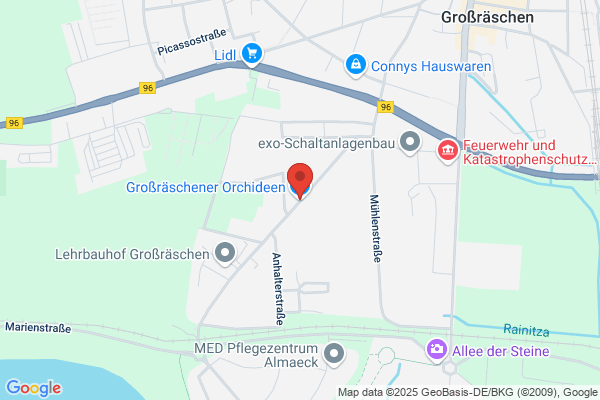 Großräschener Orchideen