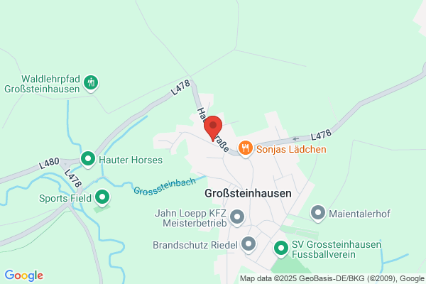 Freiwillige Feuerwehr