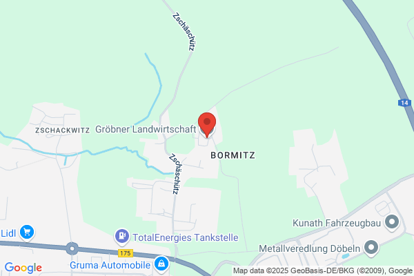 Großzöbern