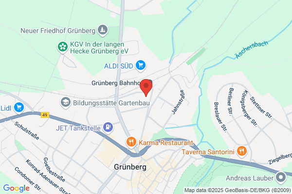 Allmendinger GmbH & Co. KG