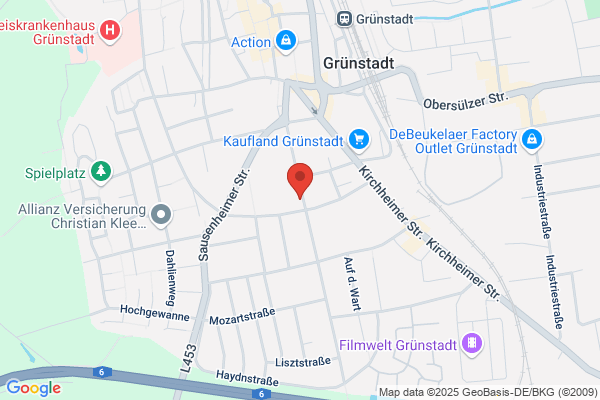 Dingler Consulting GmbH, Dr. Rolf