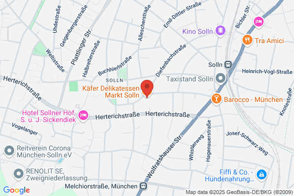 Käfer in Solln