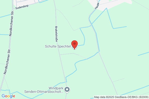 Ulrich Schulte-Spechtel