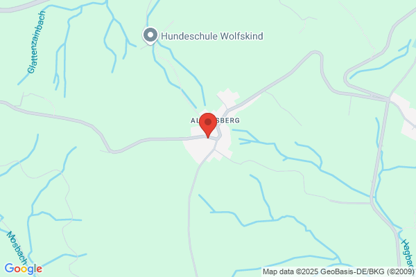 Hermann Häfner
