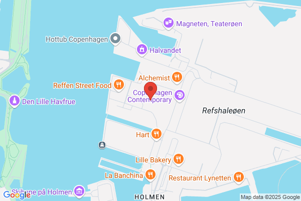 Holberg G. MF-Institut