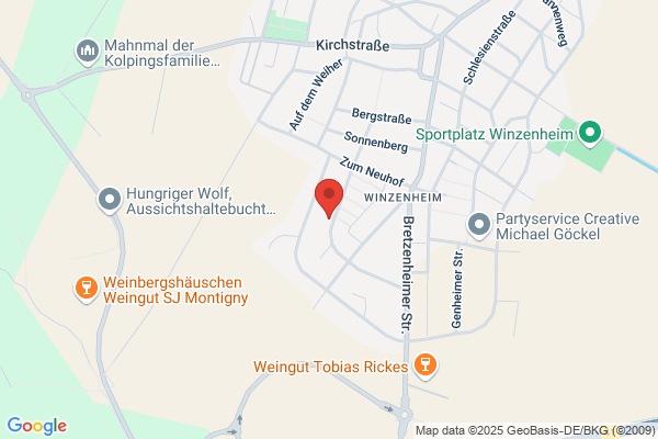 Wirz Taxiunternehmer