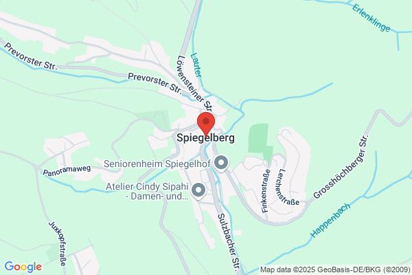 Erika Spiegelberg, Herbert Spiegelberg