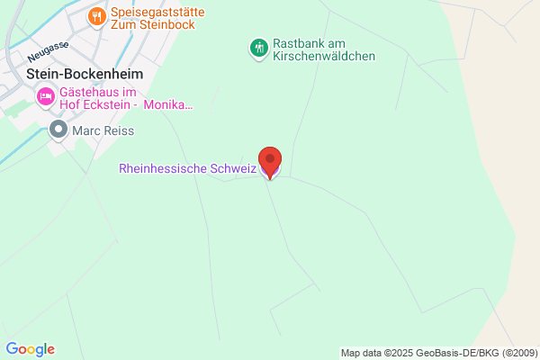 Rheinhessiche Schweiz Hausbau GmbH