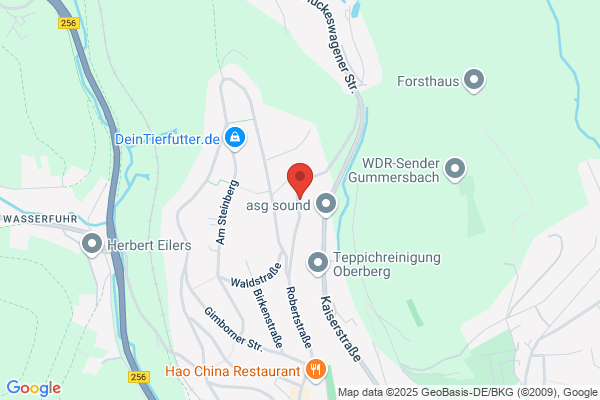 Helkur Limousinenservice Mietwagen