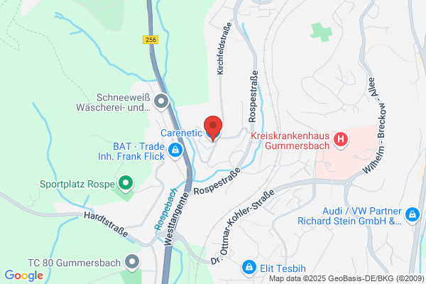 Carenetic GmbH