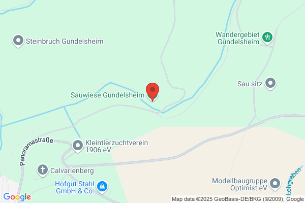 Wasserstandsabrufpegel Gundelsheim