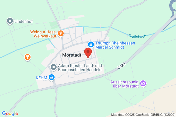 Netzwerk Management Mohr