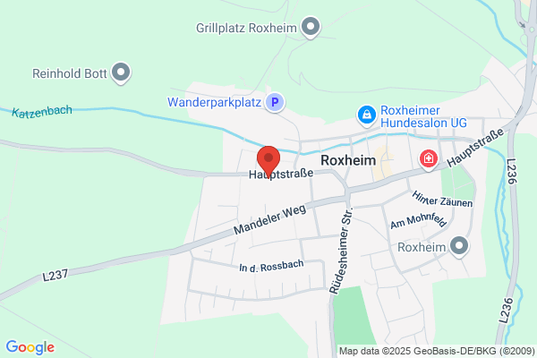 Baldes Gerüstbau GmbH