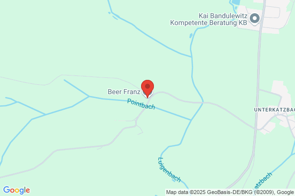 Franz Beer
