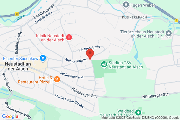 TSV Neustadt/Aisch Handball