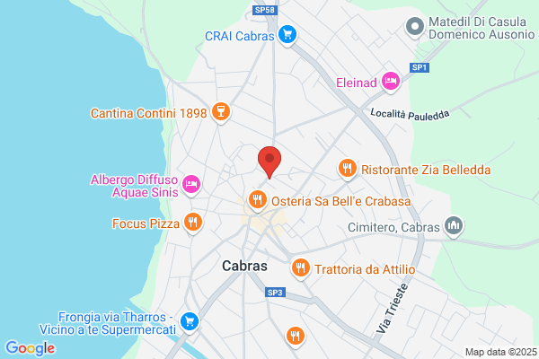 Marcello Salis
