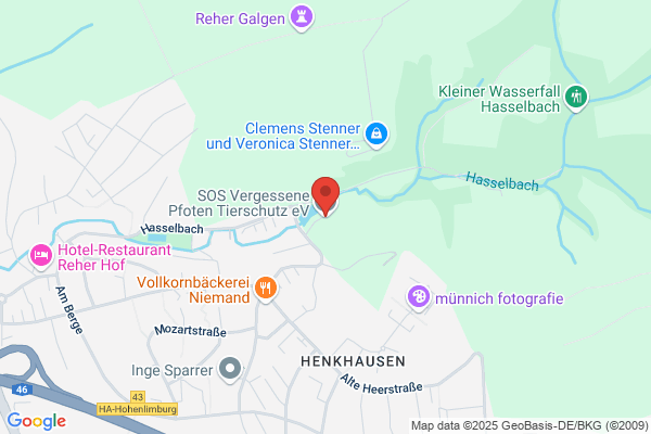 Meckeler
