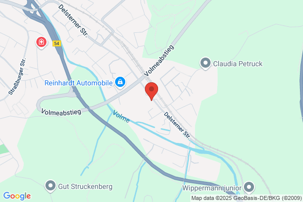 WIS Westfälischer Industrieservice